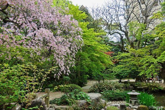 Giardini Rakusuien